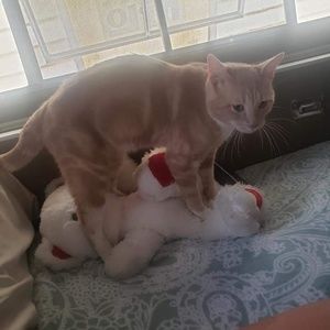 Meet your Posher, Christopher